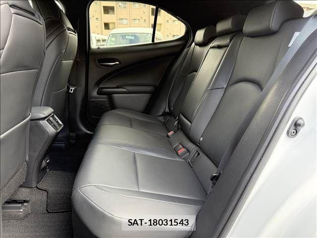 Lexus UX 2020-12 3833357-9