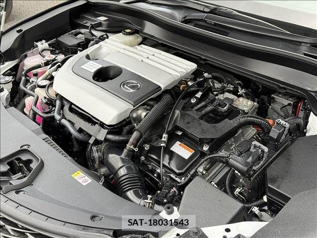 Lexus UX 2020-12 3833357-19