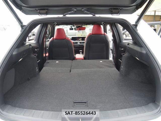 Lexus UX 2021-08 4326402-17