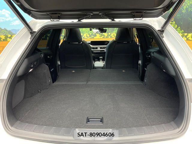 Lexus UX 2020-01 5871251-9