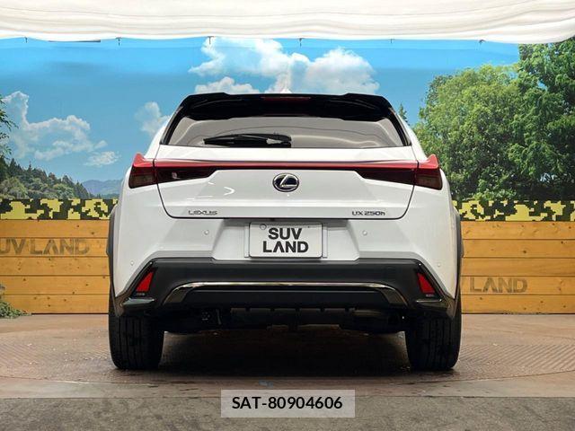 Lexus UX 2020-01 5871251-14