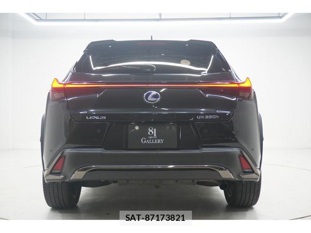 Lexus UX 2021-04 5871256-0