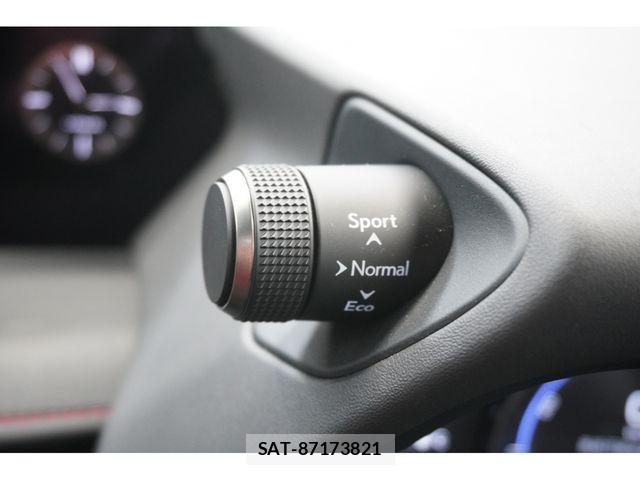 Lexus UX 2021-04 5871256-15