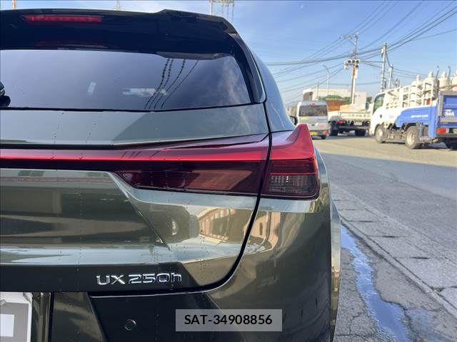 Lexus UX 2021-11 6012002-9