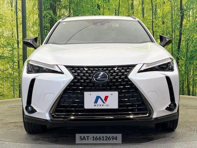 Lexus UX 2021-04 6245311-13