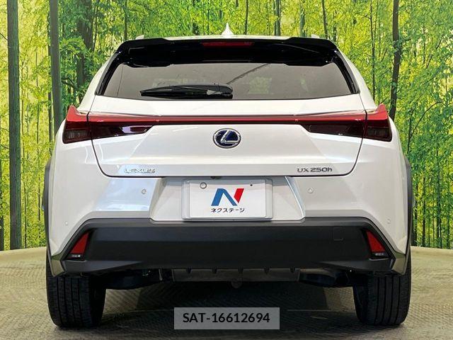 Lexus UX 2021-04 6245311-14