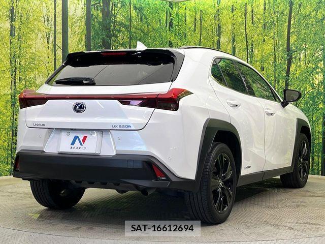 Lexus UX 2021-04 6245311-16