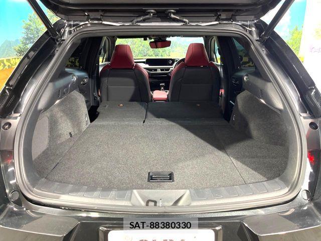 Lexus UX 2020-07 6245316-9