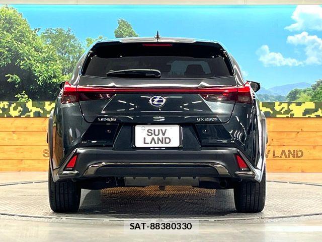 Lexus UX 2020-07 6245316-14