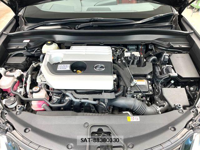 Lexus UX 2020-07 6245316-17