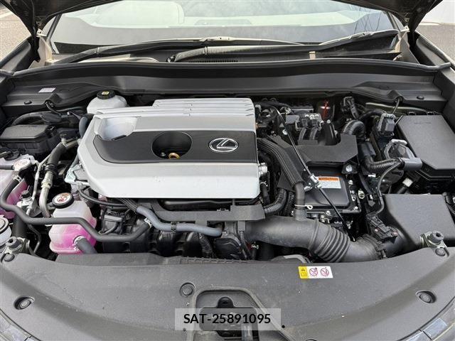Lexus UX 2023-12 6264908-18