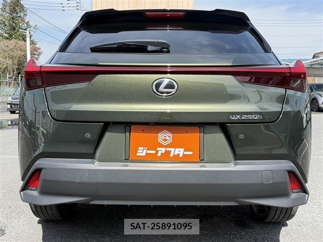 Lexus UX 2023-12 6264908-8