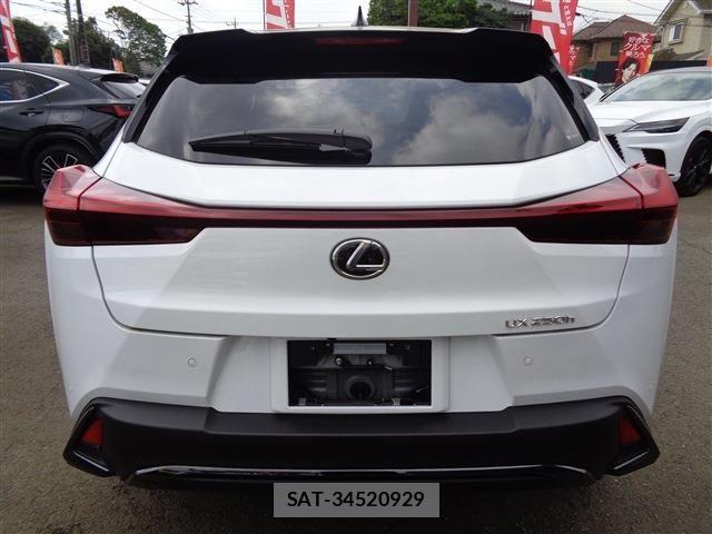 Lexus UX 2023-06 6272162-6