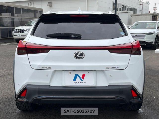 Lexus UX 2019-09 6305036-14