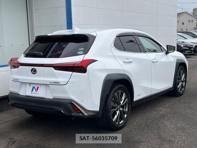 Lexus UX 2019-09 6305036-16