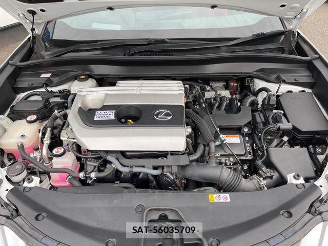Lexus UX 2019-09 6305036-17