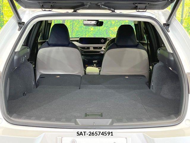 Lexus UX 2021-10 6499706-9