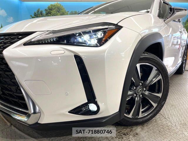 Lexus UX 2019-05 6545639-11