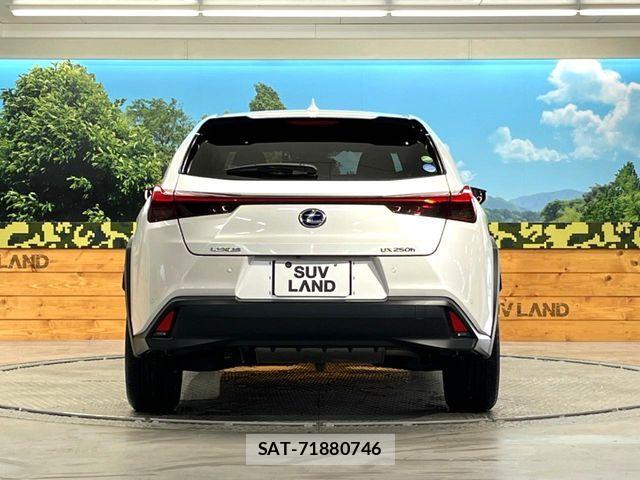 Lexus UX 2019-05 6545639-14