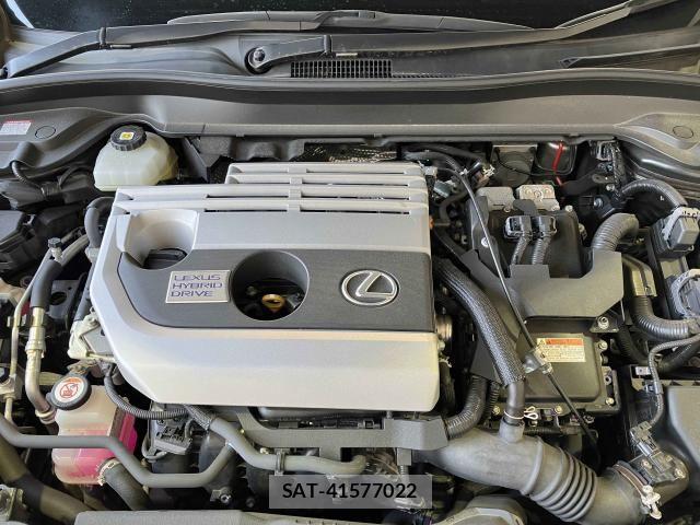 Lexus UX 2020-12 6612969-20
