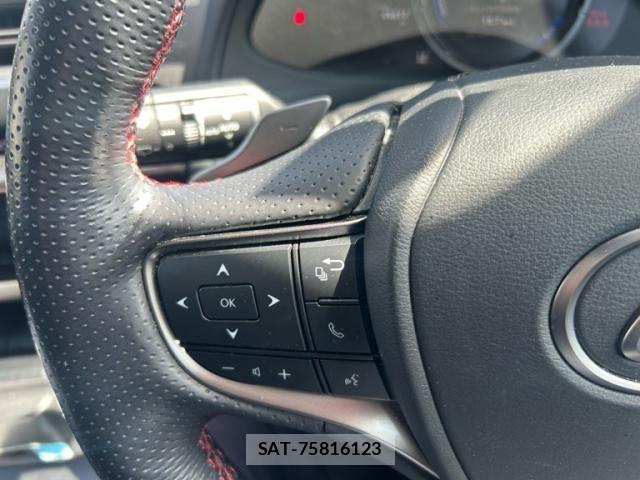 Lexus UX 2019-07 6612980-18