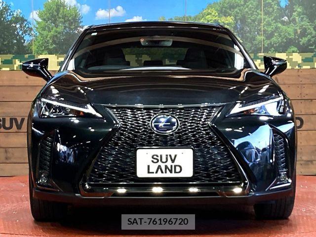 Lexus UX 2019-03 6641880-13