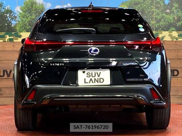 Lexus UX 2019-03 6641880-14