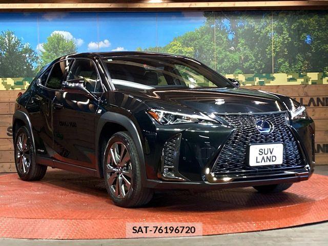 Lexus UX 2019-03 6641880-15