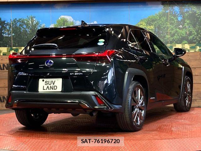 Lexus UX 2019-03 6641880-16