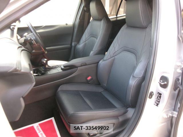 Lexus UX 2020-11 6641881-6