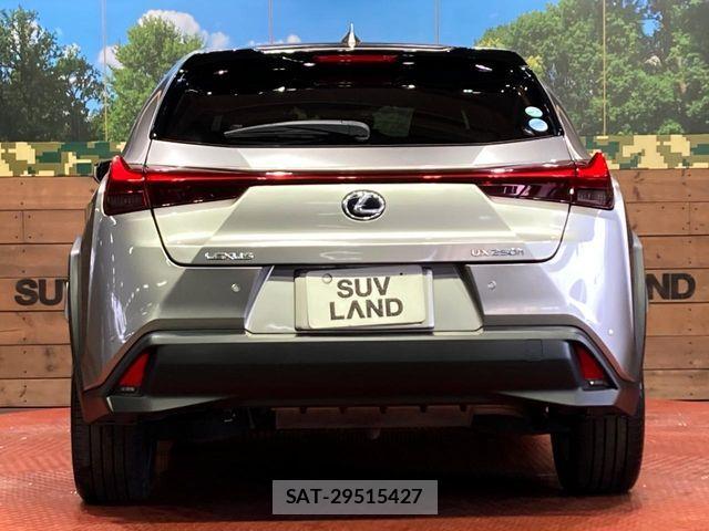 Lexus UX 2019-10 6676732-14