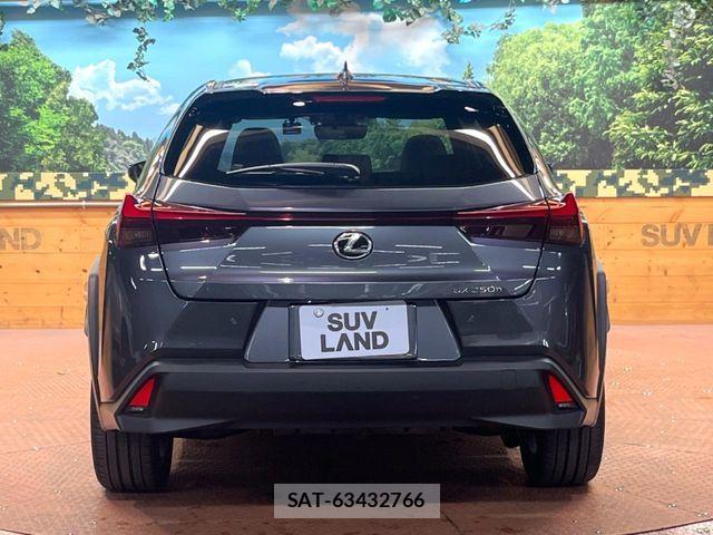 Lexus UX 2023-05 6752272-16