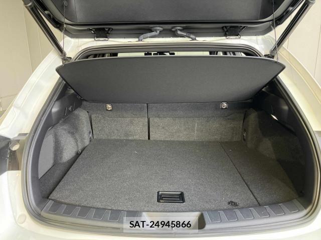 Lexus UX 2021-10 6752271-20