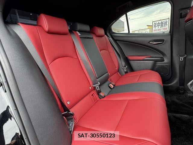 Lexus UX 2019-09 6815779-10