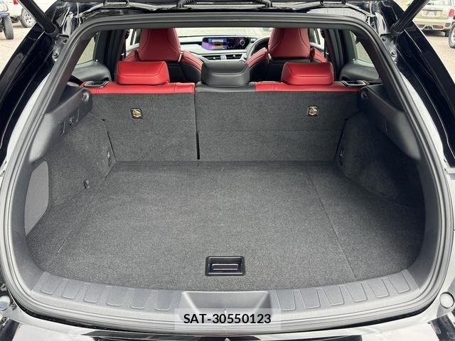 Lexus UX 2019-09 6815779-12
