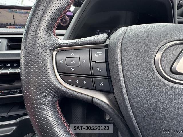 Lexus UX 2019-09 6815779-14