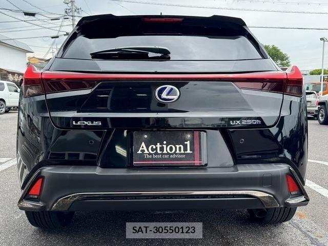 Lexus UX 2019-09 6815779-4