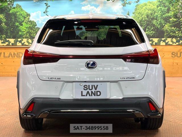 Lexus UX 2021-10 6815773-16