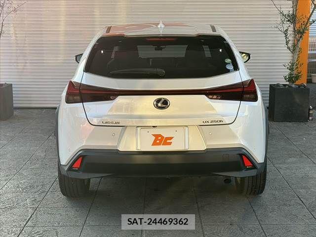 Lexus UX 2020-11 6907875-12