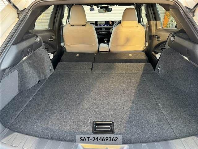 Lexus UX 2020-11 6907875-19