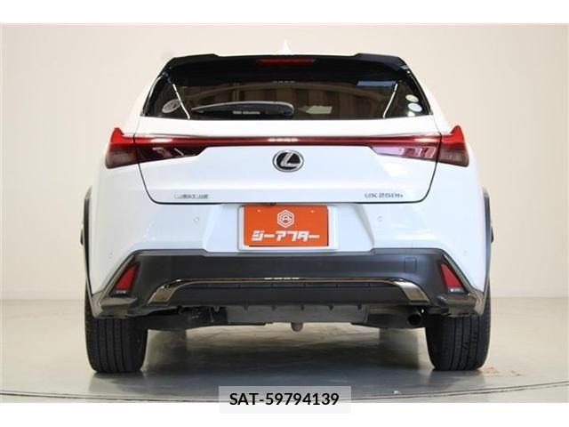 Lexus UX 2019-10 6907876-10