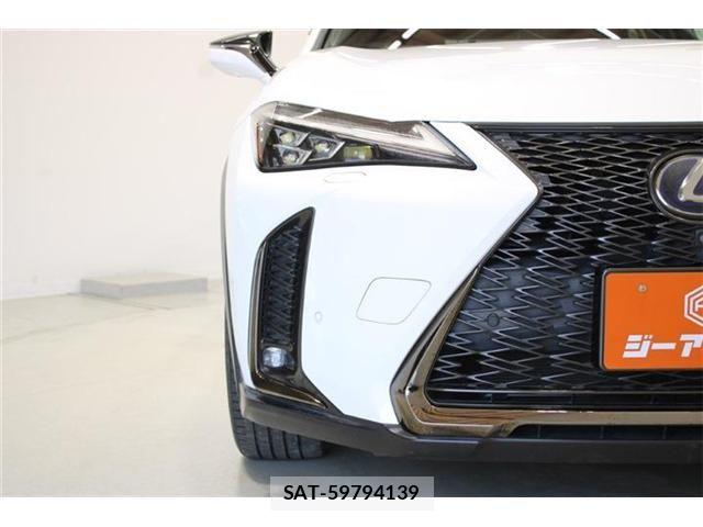 Lexus UX 2019-10 6907876-15