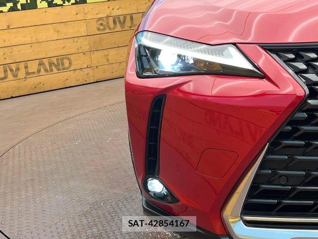 Lexus UX 2023-07 6995259-12