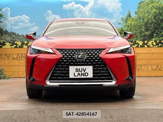 Lexus UX 2023-07 6995259-14