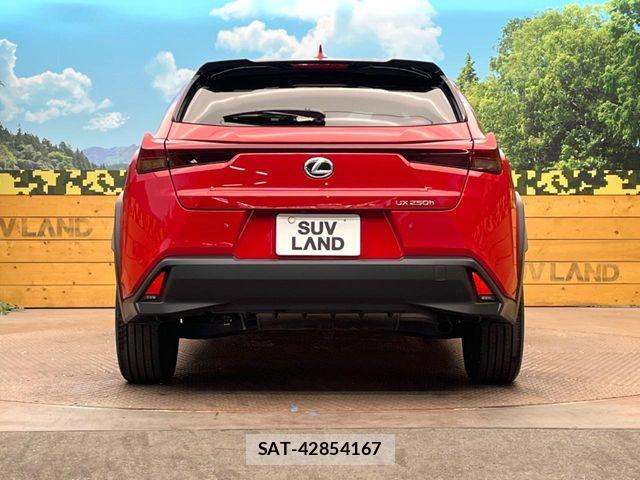 Lexus UX 2023-07 6995259-15
