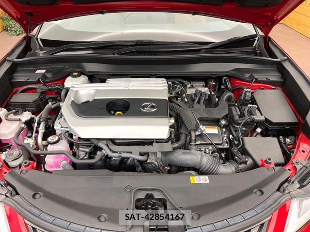 Lexus UX 2023-07 6995259-18