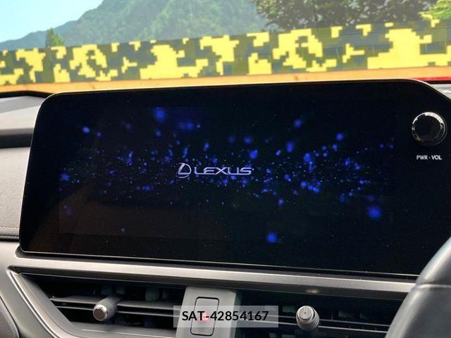 Lexus UX 2023-07 6995259-3