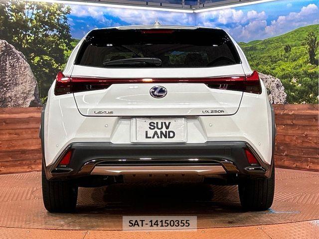 Lexus UX 2021-07 6995305-14