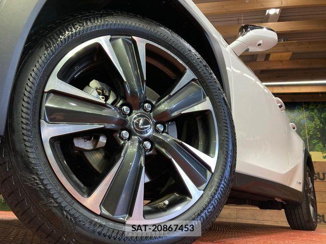 Lexus UX 2019-08 6995258-12