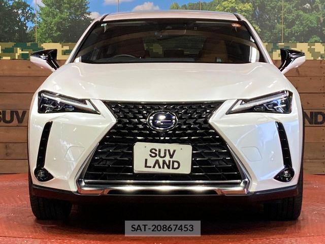 Lexus UX 2019-08 6995258-13